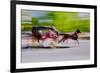 Horse and carriage drives in traffic down Central Park West in Manhattan, New York City, NY-null-Framed Photographic Print