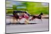Horse and carriage drives in traffic down Central Park West in Manhattan, New York City, NY-null-Mounted Photographic Print