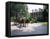 Horse and Carriage in Lee Avenue, Lexington, Virginia, United States of America, North America-Pearl Bucknall-Framed Stretched Canvas