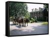 Horse and Carriage in Lee Avenue, Lexington, Virginia, United States of America, North America-Pearl Bucknall-Framed Stretched Canvas