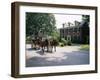 Horse and Carriage in Lee Avenue, Lexington, Virginia, United States of America, North America-Pearl Bucknall-Framed Photographic Print