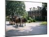 Horse and Carriage in Lee Avenue, Lexington, Virginia, United States of America, North America-Pearl Bucknall-Mounted Photographic Print