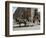 Horse and Carriage in Main Market Square, Old Town District, Krakow, Poland-R H Productions-Framed Photographic Print