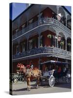 Horse and Carriage in the French Quarter, New Orleans, Louisiana, USA-Adina Tovy-Stretched Canvas