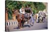 Horse and carriage on Riverside Drive in Luxor, Thebes West, Kena, Egypt-null-Stretched Canvas