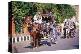 Horse and carriage on Riverside Drive in Luxor, Thebes West, Kena, Egypt-null-Stretched Canvas