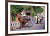 Horse and carriage on Riverside Drive in Luxor, Thebes West, Kena, Egypt-null-Framed Art Print