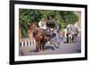 Horse and carriage on Riverside Drive in Luxor, Thebes West, Kena, Egypt-null-Framed Art Print