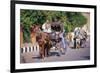 Horse and carriage on Riverside Drive in Luxor, Thebes West, Kena, Egypt-null-Framed Art Print