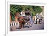 Horse and carriage on Riverside Drive in Luxor, Thebes West, Kena, Egypt-null-Framed Art Print