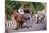 Horse and carriage on Riverside Drive in Luxor, Thebes West, Kena, Egypt-null-Mounted Art Print