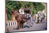 Horse and carriage on Riverside Drive in Luxor, Thebes West, Kena, Egypt-null-Mounted Art Print