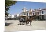 Horse and carriage riding along sand streets with brotherhood houses behind, El Rocio, Huelva Provi-Stuart Black-Mounted Photographic Print