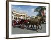 Horse and Carriages in Main Market Square, Old Town District, Krakow, Poland-R H Productions-Framed Photographic Print