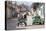 Horse and Cart and Vintage American Car on Cobbled Street in the Historic Centre of Trinidad-Lee Frost-Stretched Canvas