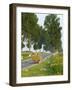 Horse and Cart, Moldavia, Romania-Russell Young-Framed Photographic Print