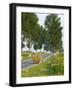 Horse and Cart, Moldavia, Romania-Russell Young-Framed Photographic Print