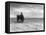 Horse and Cart on Sands-null-Framed Stretched Canvas