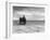 Horse and Cart on Sands-null-Framed Photographic Print