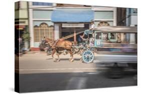Horse and Cart, Pyin Oo Lwin (Pyin U Lwin), Mandalay Region, Myanmar (Burma), Asia-Matthew Williams-Ellis-Stretched Canvas