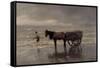 Horse and Cart-Anton Mauve-Framed Stretched Canvas