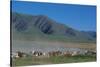 Horse and cattle herd at Tafi dell Valle near Tucuman, Argentina-null-Stretched Canvas