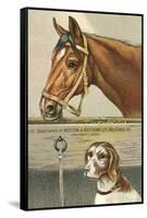 Horse and Dog-null-Framed Stretched Canvas