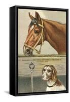 Horse and Dog-null-Framed Stretched Canvas