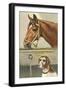 Horse and Dog-null-Framed Art Print