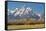 Horse and Grand Tetons, Moose Head Ranch, Grand Teton National Park, Wyoming, USA-Michel Hersen-Framed Stretched Canvas