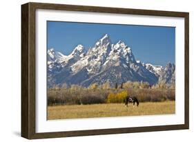 Horse and Grand Tetons, Moose Head Ranch, Grand Teton National Park, Wyoming, USA-Michel Hersen-Framed Photographic Print