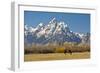 Horse and Grand Tetons, Moose Head Ranch, Grand Teton National Park, Wyoming, USA-Michel Hersen-Framed Photographic Print