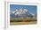 Horse and Grand Tetons, Moose Head Ranch, Grand Teton National Park, Wyoming, USA-Michel Hersen-Framed Photographic Print