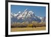 Horse and Grand Tetons, Moose Head Ranch, Grand Teton National Park, Wyoming, USA-Michel Hersen-Framed Photographic Print