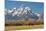 Horse and Grand Tetons, Moose Head Ranch, Grand Teton National Park, Wyoming, USA-Michel Hersen-Mounted Photographic Print