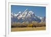 Horse and Grand Tetons, Moose Head Ranch, Grand Teton National Park, Wyoming, USA-Michel Hersen-Framed Photographic Print