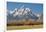 Horse and Grand Tetons, Moose Head Ranch, Grand Teton National Park, Wyoming, USA-Michel Hersen-Framed Photographic Print