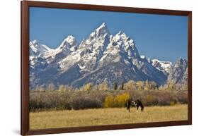 Horse and Grand Tetons, Moose Head Ranch, Grand Teton National Park, Wyoming, USA-Michel Hersen-Framed Photographic Print