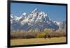 Horse and Grand Tetons, Moose Head Ranch, Grand Teton National Park, Wyoming, USA-Michel Hersen-Framed Photographic Print