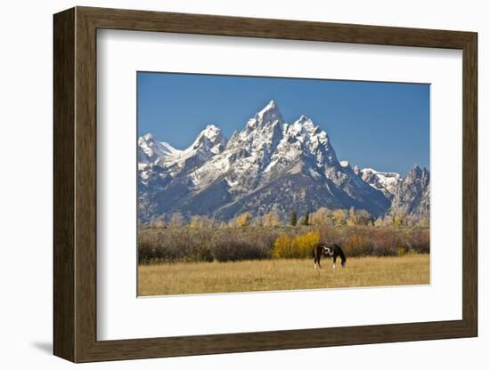 Horse and Grand Tetons, Moose Head Ranch, Grand Teton National Park, Wyoming, USA-Michel Hersen-Framed Photographic Print