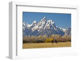 Horse and Grand Tetons, Moose Head Ranch, Grand Teton National Park, Wyoming, USA-Michel Hersen-Framed Photographic Print