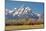 Horse and Grand Tetons, Moose Head Ranch, Grand Teton National Park, Wyoming, USA-Michel Hersen-Mounted Photographic Print