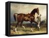 Horse and Groom in a Landscape-James Lynwood Palmer-Framed Stretched Canvas