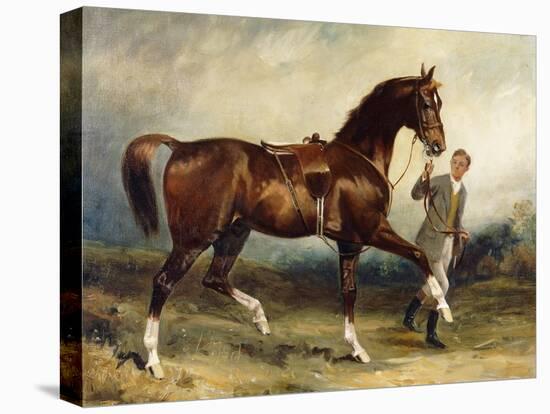 Horse and Groom in a Landscape-James Lynwood Palmer-Stretched Canvas