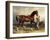 Horse and Groom in a Landscape-James Lynwood Palmer-Framed Giclee Print