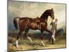 Horse and Groom in a Landscape-James Lynwood Palmer-Mounted Giclee Print