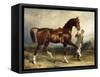 Horse and Groom in a Landscape-James Lynwood Palmer-Framed Stretched Canvas