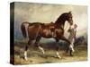 Horse and Groom in a Landscape-James Lynwood Palmer-Stretched Canvas