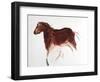 Horse and Hind, Palaeolithic Cave Painting from Altamira, Southern Spain, C16,000-C9000 Bc-null-Framed Giclee Print