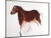 Horse and Hind, Palaeolithic Cave Painting from Altamira, Southern Spain, C16,000-C9000 Bc-null-Mounted Giclee Print